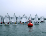 Первенство России по парусному спорту в детских, юношеских и олимпийских классах яхт 2008